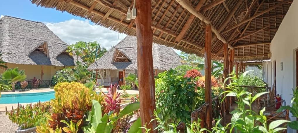 Africa Dream Bungalow Kiwengwa Hotel Kiwengwa  Kültér fotó